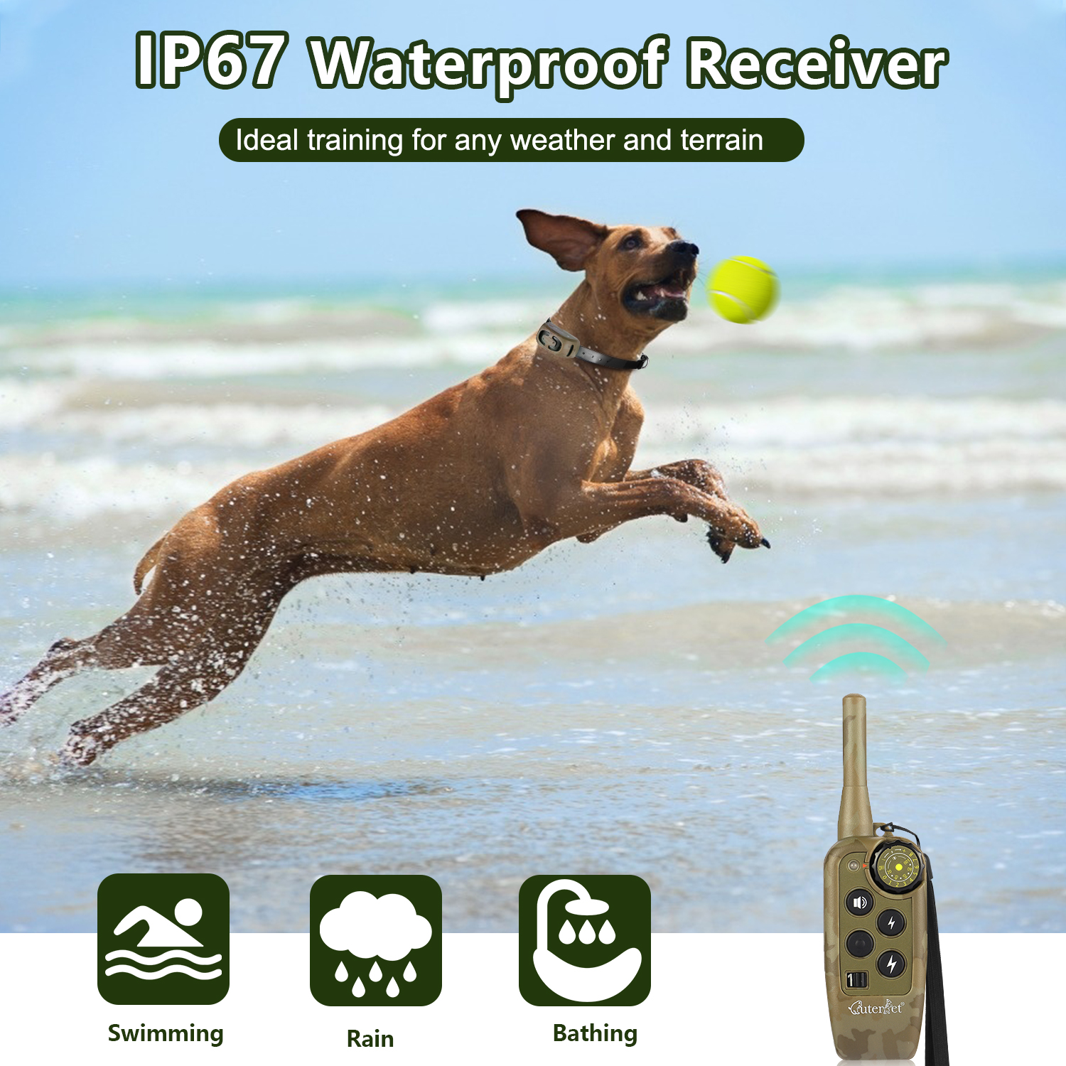 1000m Electric Dog Training Co - Hot Dog Press บทวิจารณ์และราคา