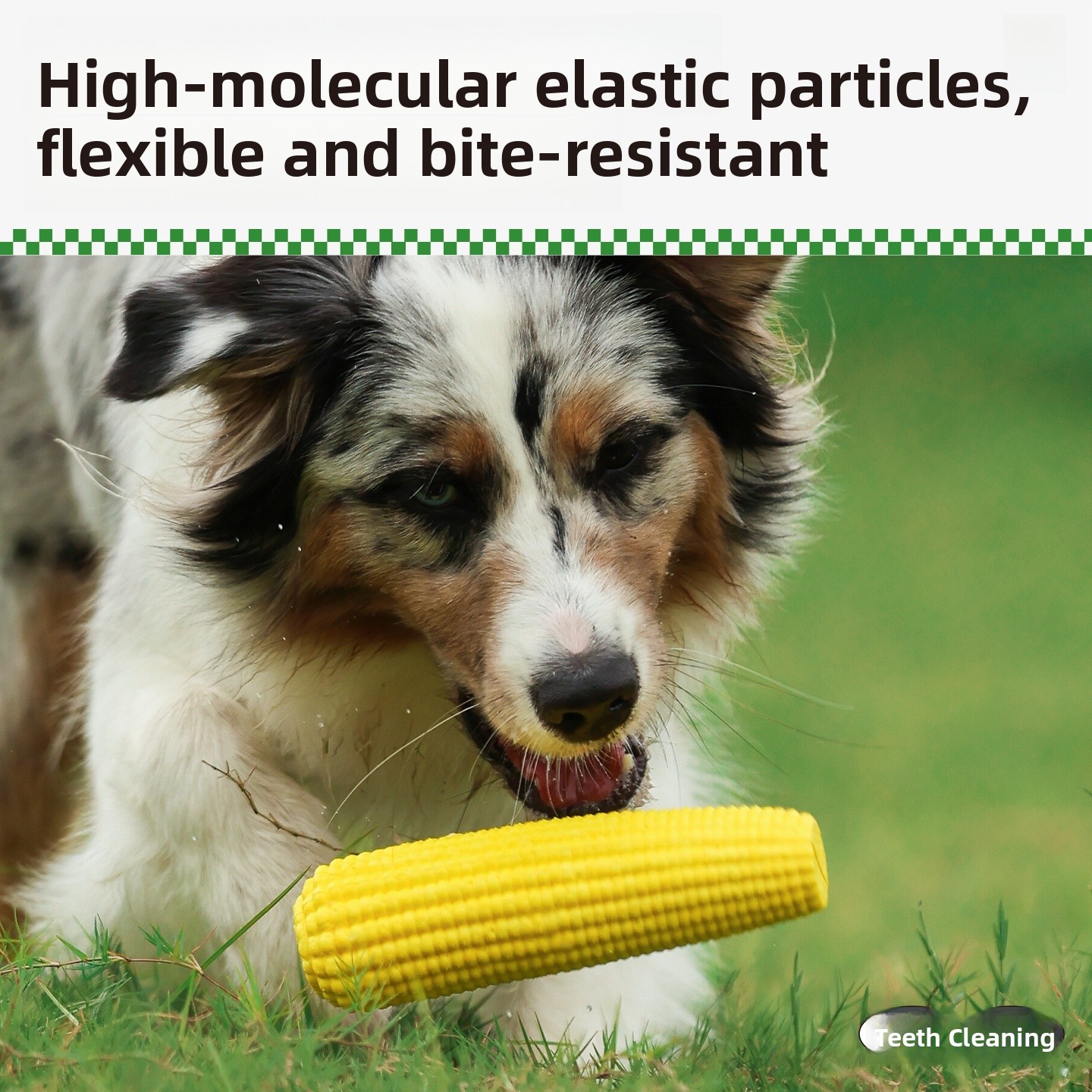 QZee Durable ETPU Corn Dog Toy - Corn Dog Stick บทวิจารณ์และราคา