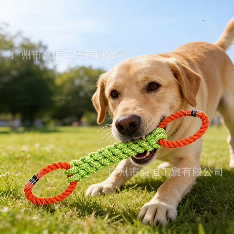 Pet toy cotton rope double-rin - Corn Dog Stick บทวิจารณ์และราคา