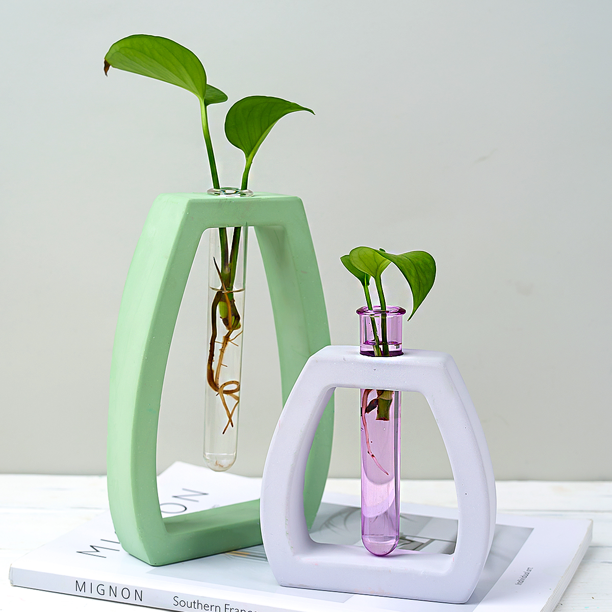 Hydroponic Test Tube Vase Sili - Potsticker Mold บทวิจารณ์และราคา