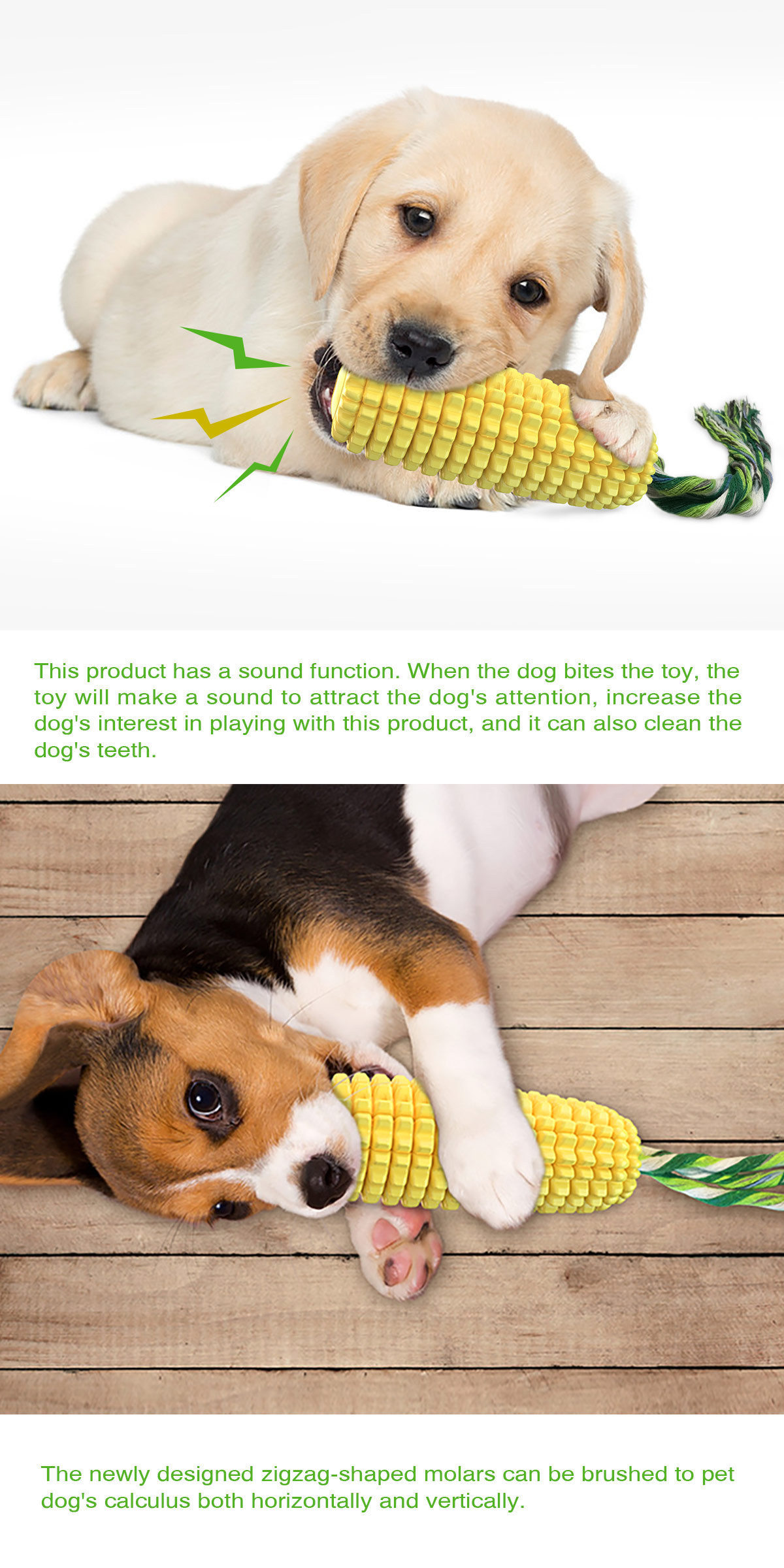 Hot Selling Large Size Corn Sh - Corn Dog Stick บทวิจารณ์และราคา