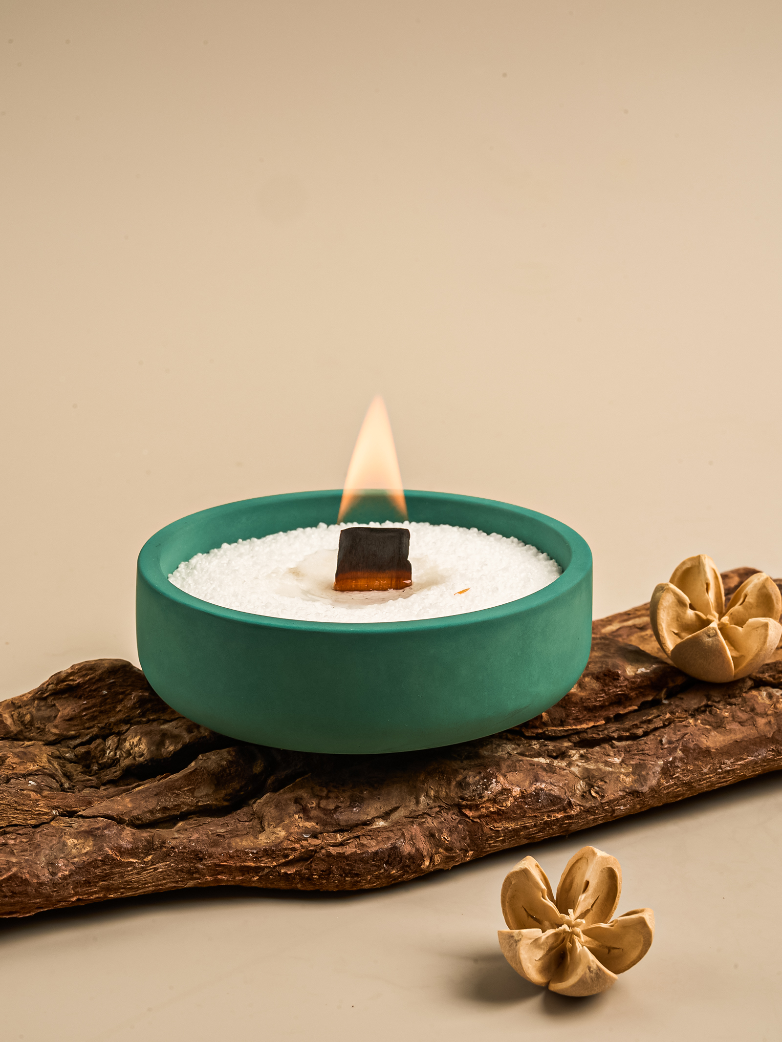 Nordic Round Storage Bowl Ceme - Potsticker Mold บทวิจารณ์และราคา